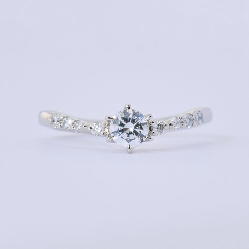 Chiffon シフォン