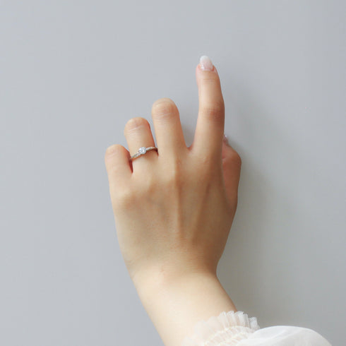 Chandelier シャンデリア